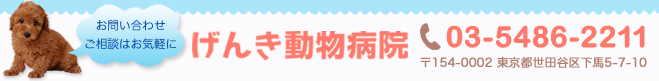 お問い合わせ・ご相談はお気軽に